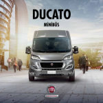 2021 Model Fiat Ducato Minibus