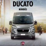 2022 Model Fiat Ducato Minibus